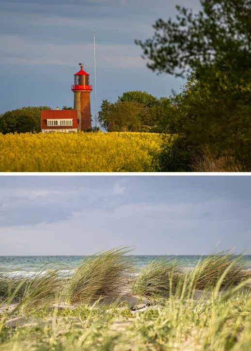 Ein Leuchtturm steht über einem grünen Grasfeld auf Fehmarn, umgeben von klarem Himmel und sanften Wellen.