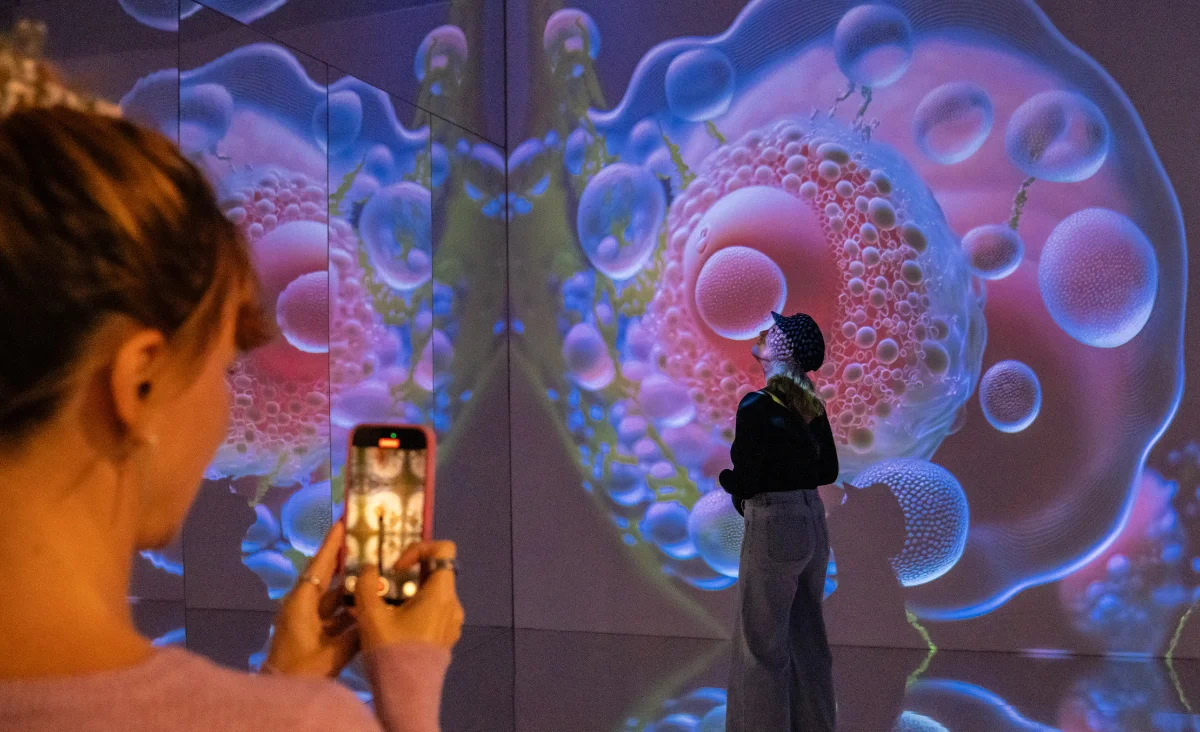 Person mit Baseballkappe steht vor einer großflächigen Projektion von zellähnlichen Strukturen, eine weitere Person fotografiert die Szene mit dem Smartphone