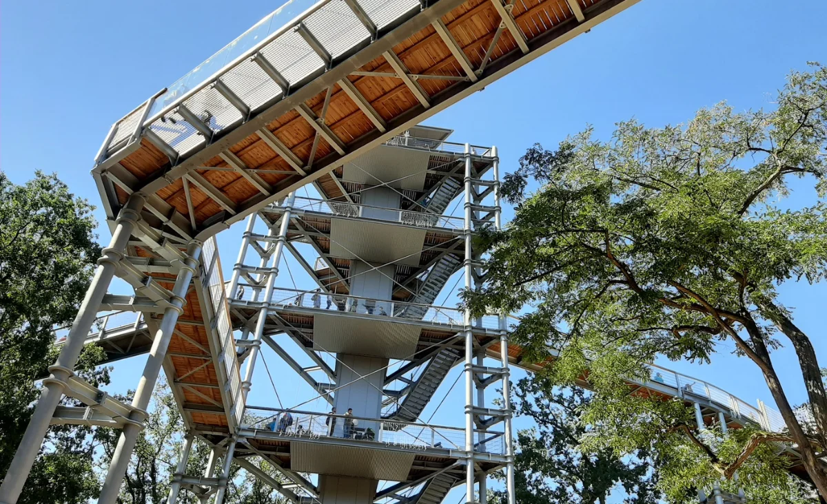 Blick von unten auf den Baumkronenpfad mit spiralförmiger Treppe und umlaufendem Steg zwischen Bäumen
